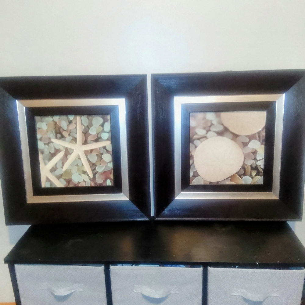Elegant Black and Silver Starfish and Sand Dollar Frame Set